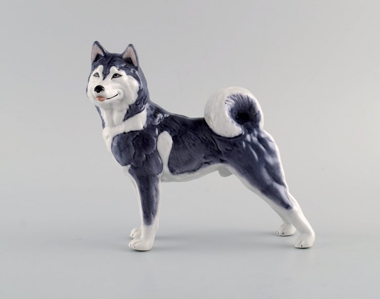 Royal Copenhagen porcelain figurine. Siberian Husky. Model number 038.
