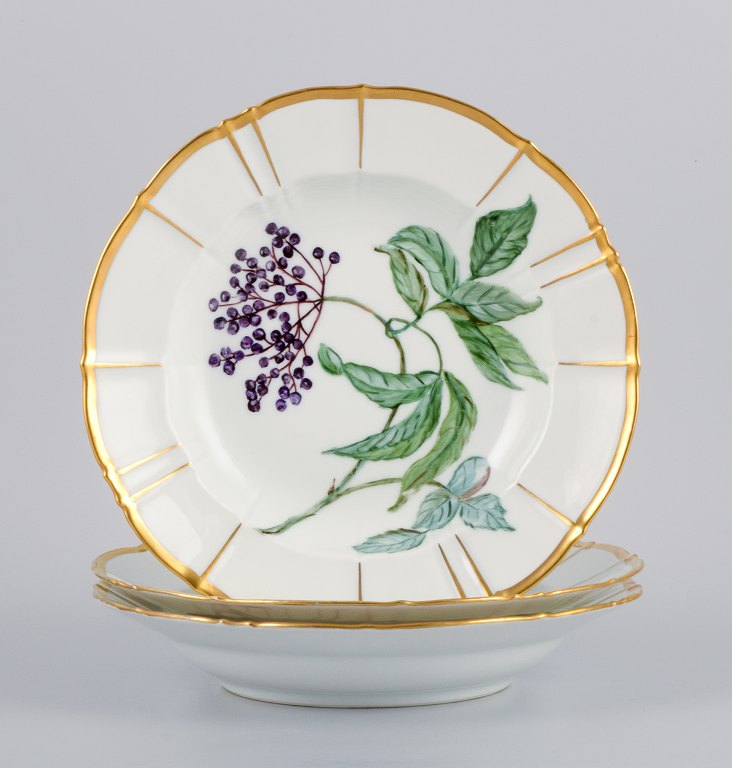 Bing and Grøndahl, three deep porcelain plates in Flora Danica style with gold 
decoration.
