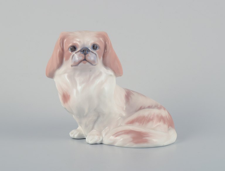 Royal Copenhagen, porcelænsfigur af pekingeser.