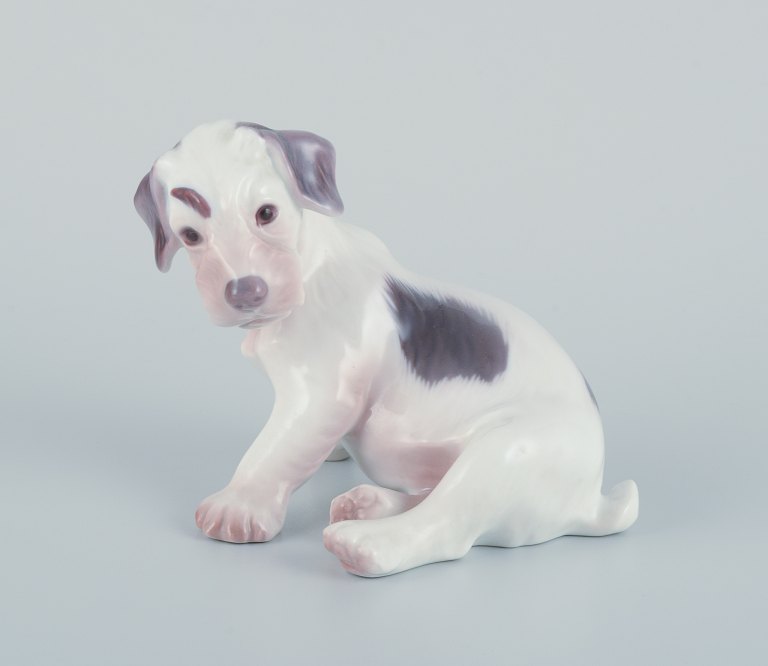 Bing & Grøndahl, porcelænsfigur af ruhåret foxterrier hvalp.