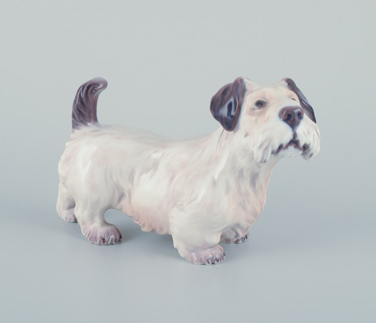 Dahl Jensen, porcelænsfigur af sealyham terrier.