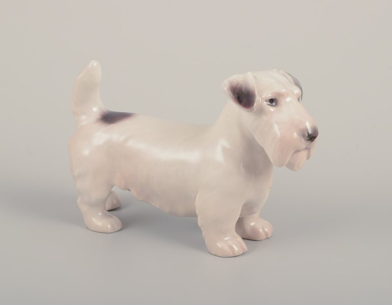 Bing & Grøndahl, small porcelain figurine of a Sealyham Terrier.