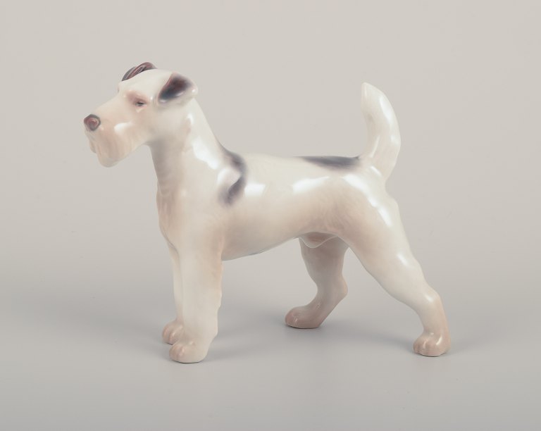 Bing & Grøndahl, porcelænsfigur af ruhåret terrier.