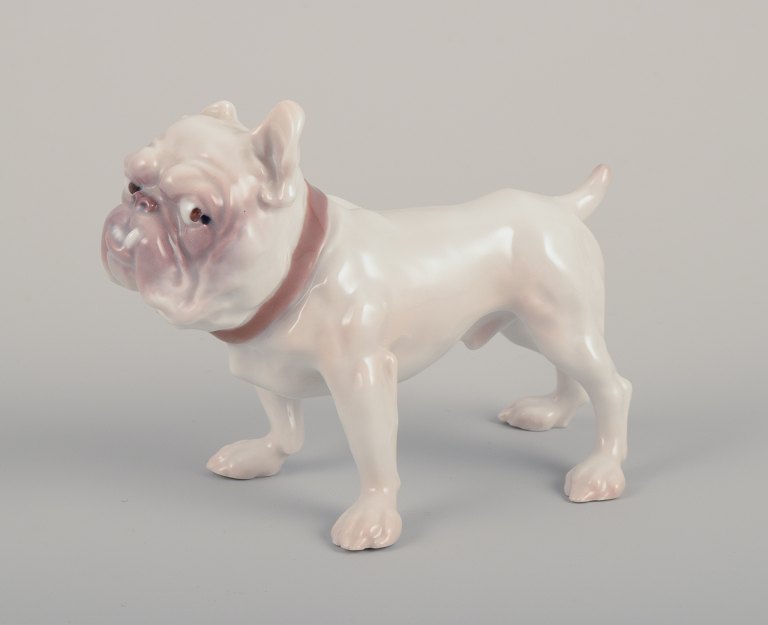 Bing & Grøndahl, porcelain figurine of a Bulldog.