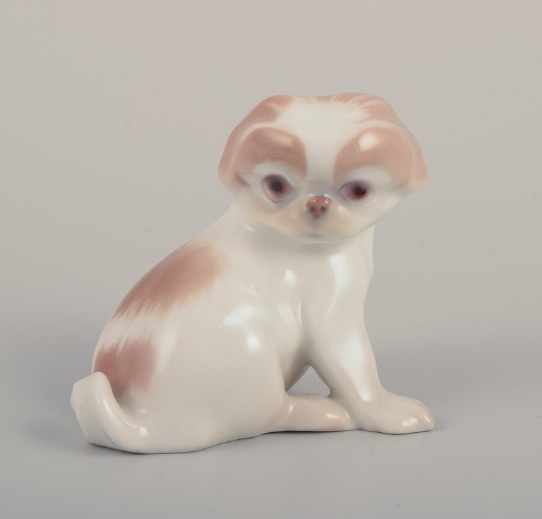 Bing & Grøndahl, porcelænsfigur af pekingeser hvalp.