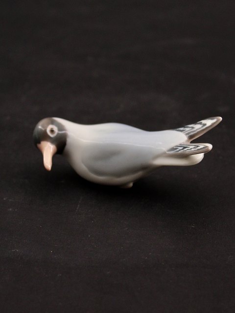 B&G segull 1810