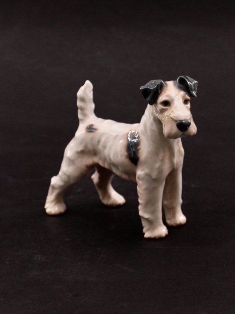 Bing & Grondahl figurine Rough Fox Terrier 1998