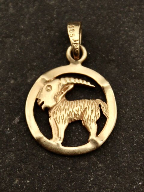 14 carat gold zodiac