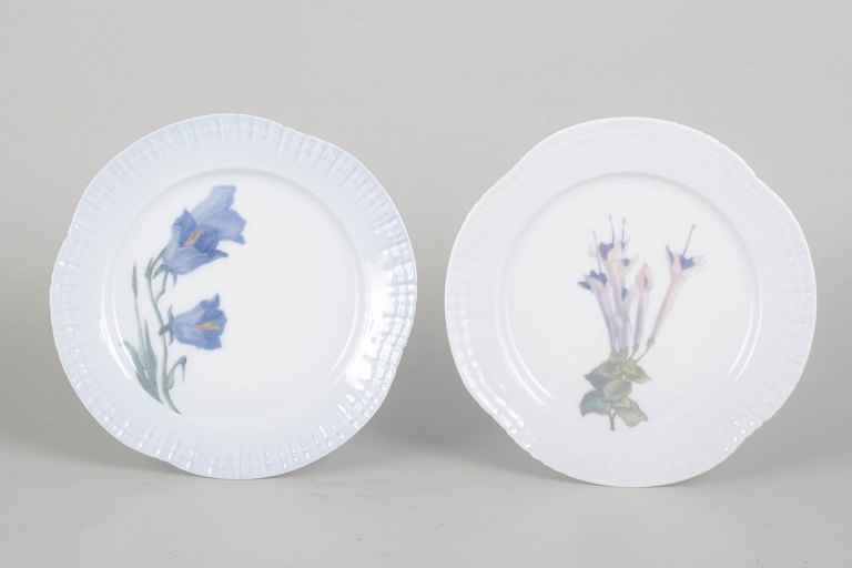 Royal Copenhagen, pair of Art Nouveau plates.